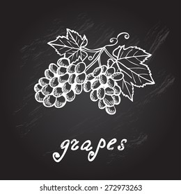 Hand drawn decorative grapes, design elements. Can be used for cards, invitations, gift wrap, print, scrapbooking. Kitchen theme. Chalkboard background. Sketch