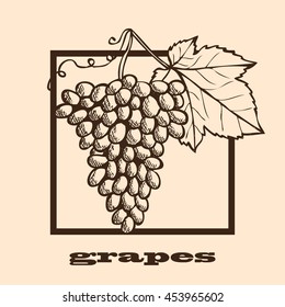Hand drawn decorative grapes, design elements. Can be used for cards, invitations, scrapbooking, print, manufacturing. Fruit theme. Fruit sketch