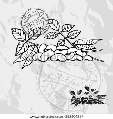 Hand drawn decorative horse gram, design elements. Can be used for cards, invitations, gift wrap, print, scrapbooking. Kitchen theme. Chalkboard background