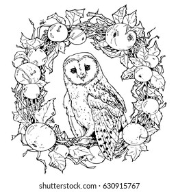 hand drawn decorative illustration of barn owl; coloring page with owl and wreath from apples and tree branches