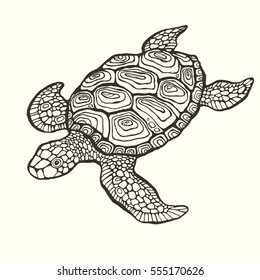 Hand drawn decorative illustration of the sea turtle