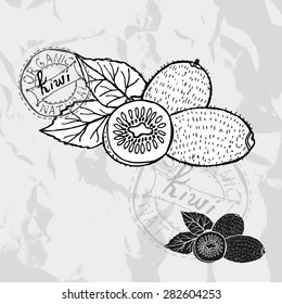 Hand drawn decorative kiwi fruits, design elements. Can be used for cards, invitations, gift wrap, print, scrapbooking. Kitchen theme