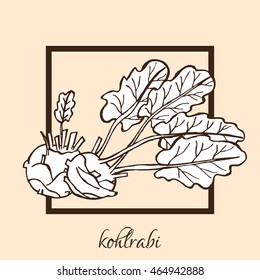 Hand drawn decorative kohlrabi, design elements. Can be used for cards, invitations, gift wrap, print, scrapbooking, food menu, labels. Vegetable background. Food theme