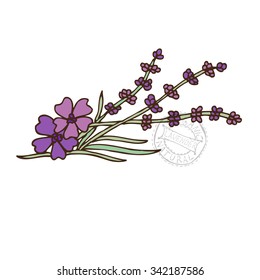 Hand drawn decorative lavender, design element. Can be used for cards, invitations, gift wrap, print, scrapbooking. Kitchen theme. Herbs and spices sketch