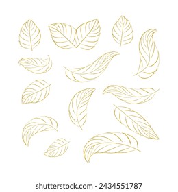 Dibujado a mano adorno de hoja decorativa colección de arte vectorial