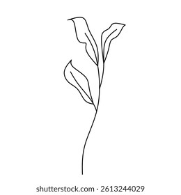 Hand Drawn Decorative Leaf Vector Illustration