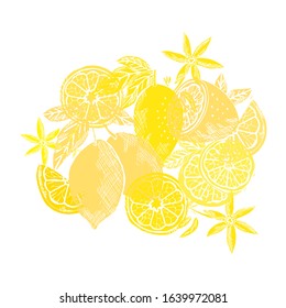 Hand drawn decorative lemon fruits, design elements. Can be used for cards, invitations, scrapbooking, print, manufacturing. Food, kitchen theme