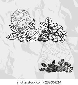 Hand drawn decorative nuts, design elements. Can be used for cards, invitations, gift wrap, print, scrapbooking. Kitchen theme. Chalkboard background