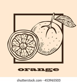 Hand drawn decorative oranges, design elements. Can be used for cards, invitations, scrapbooking, print, manufacturing. Fruit theme. Fruit sketch