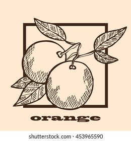 Hand drawn decorative oranges, design elements. Can be used for cards, invitations, scrapbooking, print, manufacturing. Fruit theme. Fruit sketch