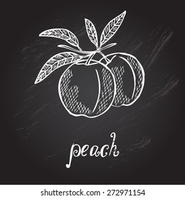 Hand drawn decorative peach fruits, design elements. Can be used for cards, invitations, gift wrap, print, scrapbooking. Kitchen theme. Chalkboard background. Sketch
