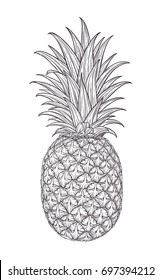 Hand drawn decorative pineapple. Stylized colorful fruit. Summer spring background, nature collection. Vector illustration