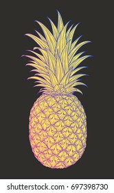Hand drawn decorative pineapple. Stylized colorful fruit. Summer spring background, nature collection. Vector illustration