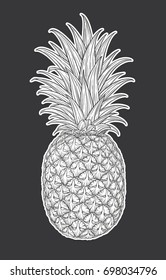 Hand drawn decorative pineapple. Stylized colorful fruit. Summer spring background, nature collection. Vector illustration