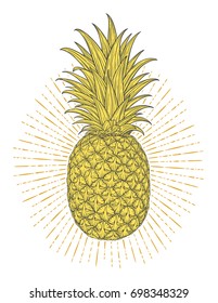 Hand drawn decorative pineapple. Stylized colorful fruit. Summer spring background, nature collection. Vector illustration