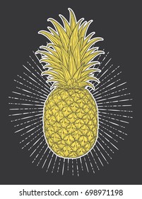 Hand drawn decorative pineapple. Stylized colorful fruit. Summer spring background, nature collection. Vector illustration