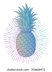 Hand drawn decorative pineapple. Stylized colorful fruit. Summer spring background, nature collection. Vector illustration