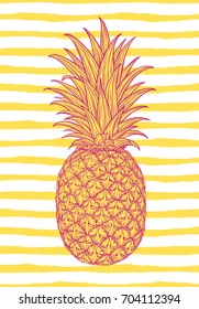 Hand drawn decorative pineapple. Stylized colorful fruit. Summer spring background, nature collection. Vector illustration