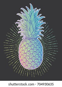 Hand drawn decorative pineapple. Stylized colorful fruit. Summer spring background, nature collection. Vector illustration