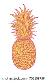 Hand drawn decorative pineapple. Stylized colorful fruit. Summer spring background, nature collection. Vector illustration