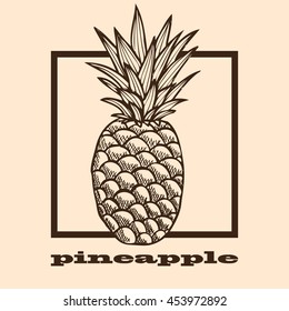 Hand drawn decorative pineapples, design elements. Can be used for cards, invitations, scrapbooking, print, manufacturing. Fruit theme. Fruit sketch