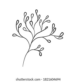 Hand drawn decorative plant. Line art plant isolated on white background. Vector.