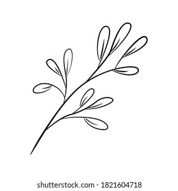 Hand drawn decorative plant. Line art plant isolated on white background. Vector.