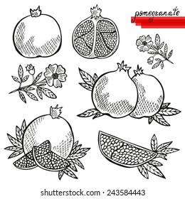 Hand drawn decorative pomegranates, whole and sliced, and pomegranate flower. Design elements. Can be used for cards, invitations, scrapbooking, print, manufacturing 