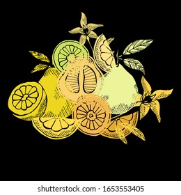 Hand drawn decorative pomelo fruits, design elements. Can be used for cards, invitations, scrapbooking, print, manufacturing. Food, kitchen theme