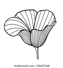 Hand drawn decorative poppy flowers, design element. Vector illustration