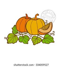 Hand drawn decorative pumpkins, design elements. Can be used for cards, invitations, gift wrap, print, scrapbooking. Kitchen theme