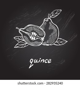 Hand drawn decorative quince, design element. Can be used for cards, invitations, gift wrap, print, scrapbooking. Kitchen theme. Chalkboard background. Sketch