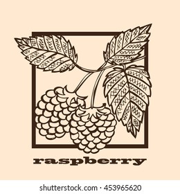 Hand drawn decorative raspberry fruits, design elements. Can be used for cards, invitations, scrapbooking, print, manufacturing. Fruit theme. Fruit sketch