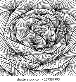 hand drawn decorative rose, close up, design element