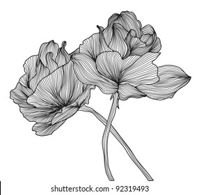 hand drawn decorative roses for your design