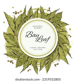 Marco redondo decorativo dibujado a mano con forma de boceto de hojas de bahía, ilustración vectorial aislada en fondo blanco. Elemento de diseño, planta orgánica, especias aromáticas, hierbas naturales