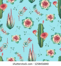 Hand drawn decorative seamless pattern with cacti and succulents