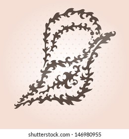 hand drawn decorative seashell, design element
