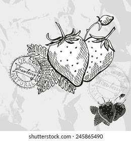 Hand drawn decorative strawberries, design elements. Citrus collection. Can be used for cards, invitations, gift wrap, print, scrapbooking. Kitchen theme