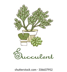 Hand drawn decorative succulent.
