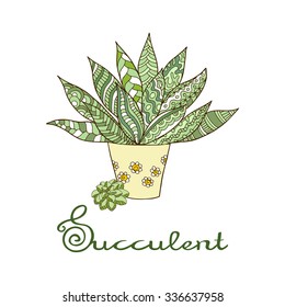 Hand drawn decorative succulent.