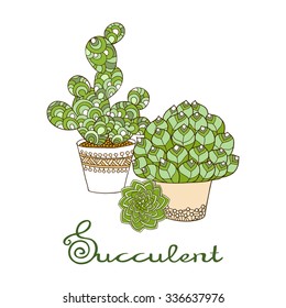 Hand drawn decorative succulent.