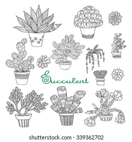 Hand drawn decorative succulent set In black and white colors