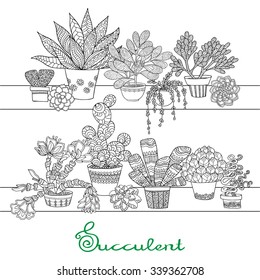 Hand drawn decorative succulent set In black and white colors