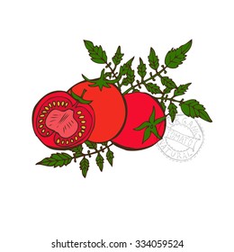 Hand drawn decorative tomatoes, design elements. Can be used for cards, invitations, gift wrap, print, scrapbooking. Kitchen theme