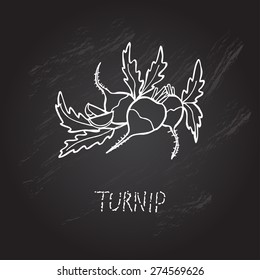 Hand drawn decorative turnips , design elements. Can be used for cards, invitations, gift wrap, print, scrapbooking. Kitchen theme. Chalkboard background