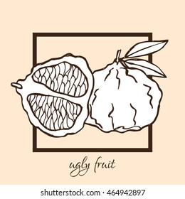 Hand drawn decorative ugly fruits, design elements. Can be used for cards, invitations, gift wrap, print, scrapbooking, labels, flyers, posters, menu. Food background. Fruit theme