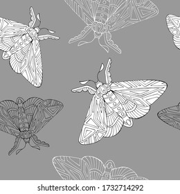 Hand drawn decorative vector background of moths. 
Doodle style illustration. Butterfly background.