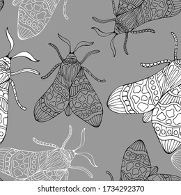Hand drawn decorative vector background of moths. 
Doodle style illustration. Butterfly background.