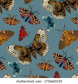 Hand drawn decorative vector background of moths. Doodle style illustration. Butterfly background.